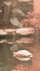 Uses the soft morning light filtering through the water to capture a turtle in a quiet cove, the deep blues around it enhancing the peaceful solitude of the scene