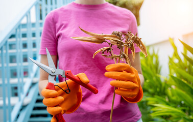 A young woman takes care of the garden, waters, fertilizes and prunes plants - 790584018