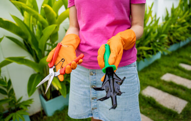 A young woman takes care of the garden, waters, fertilizes and prunes plants - 790584253