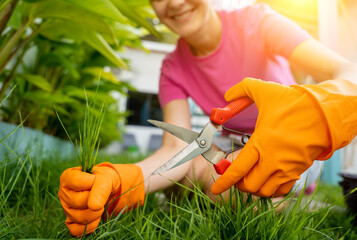 A young woman takes care of the garden and cutting grass - 790588043