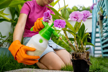 A young woman takes care of the garden, waters, fertilizes and prunes plants - 790589835
