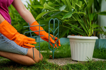 A young woman takes care of the garden and tying up plants - 790590283