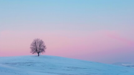 Lovely winter scene with a single tree and a hill covered in snow at dusk.