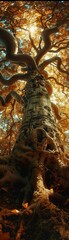 Bring to life the concept of empathy through a unique worms-eye view composition Imagine a towering tree with roots spreading wide, symbolizing empathy growing and grounding society Use warm