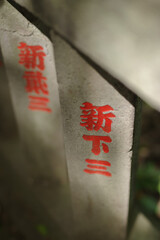 東京赤坂にある氷川神社の境内