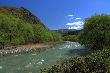 青森県、白神山地を流れる赤石川に春の気配