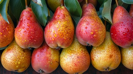   A collection of pears arranged together on a wooden table, adorned with water droplets
