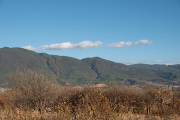 Countryside farm trees and the sky.