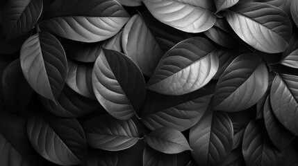   A black-and-white image of a wall adorned with a collection of leaves, overlapped by another black-and-white photograph showcasing the same leaf arrangement