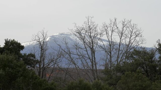 High mountain covered by snow and green trees in the foreground moved by the wind, Somosierra, Madrid.