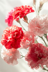 분홍색과 빨간색의 카네이션 꽃다발