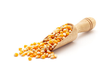 Front view of a wooden scoop filled with Organic Corn Seeds (Zea mays) or Makka. Isolated on a white background.