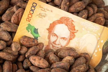 The highest quality cocoa seeds from a plantation in Costa Rica and a 20,000 colon banknote, Financial and economic concept, Cocoa prices in the world