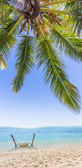 Hamac à l’ombre d’un cocotier sur plage paradisiaque 