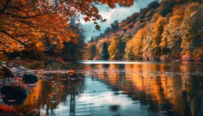 Autumn's Colorful Reverie