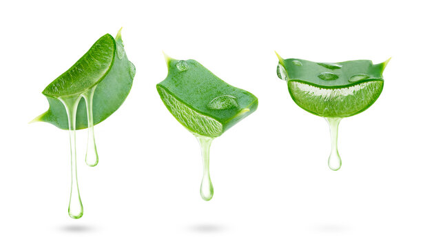 Set of aloe vera gel dripping from sliced leaves isolated on white background