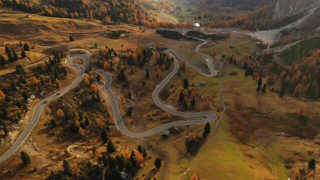 Road and cars between the autumn forest - aerial footage	