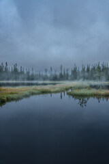 Hiking trail crosses the tranquil Norwegian pond surrounded by forest in the mist of a cold morning in the Nordic wilderness