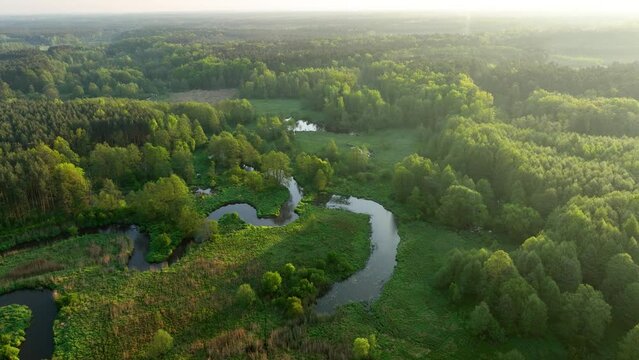 Beautiful morning over the forest and river - drone aerial view