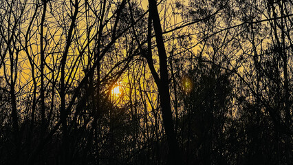 A fiery sunset paints the sky in a breathtaking display of colors.