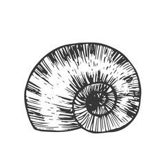 Doodle snail shell line icon vector isolated