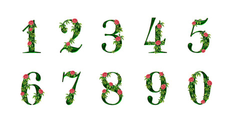 The summer or spring set of floral numbers with leaves and flowers. Beautiful graphic PNG for design with pink roses. 