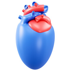 Detailed 3D illustration of a human heart for educational use