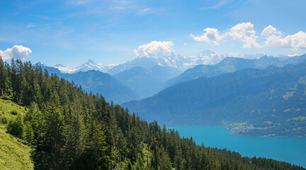Fototapeta na wymiar View over wooded mountain hills to Lake Thun and the Bernese Alps. Landscape on the Niederhorn