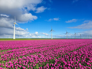 A serene field of vibrant purple flowers dances in the breeze as elegant windmills stand tall in...