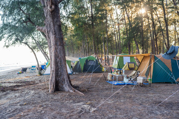 Tourist tent camping under the trees with sunset.