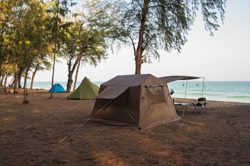 Camping tent on sand under tree pine in the morning, Outdoor lifestyle concept.