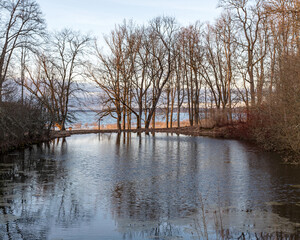 landscape with a flooded lake, dark silhouettes of trees in the backlight, reflections of trees in the water, spring