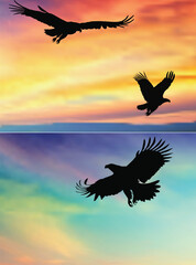 three eagles flying in sunset sky