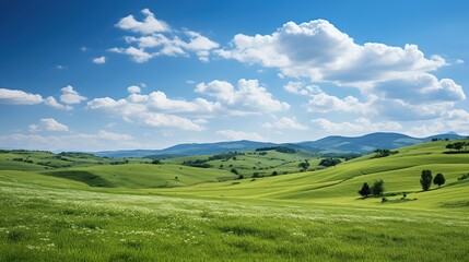 Fototapeta na wymiar Beautiful summer landscape with green meadow and blue sky with clouds