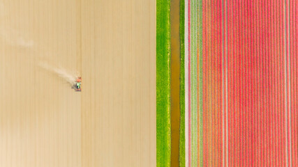 Agricultural transport. Tractor in the field. Working the land. Aerial view of the field. Landscape from a drone. Light and shadow. Natural background from drone. View from above. Agriculture. - 790660413