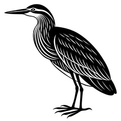 heron silhouette isolated on white