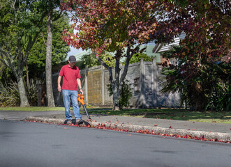 Man cleaning autumn leaves using a leaf blower in front of the house. Auckland.
