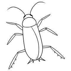 cockroach illustration hand drawn outline vector