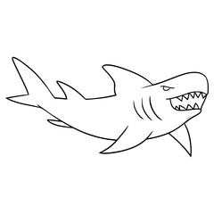 shark illustration hand drawn outline vector