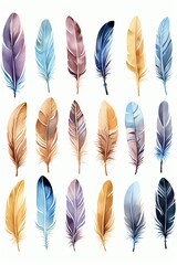 Feathers  Colorful feathers against a clear blue sky  watercolor clipart