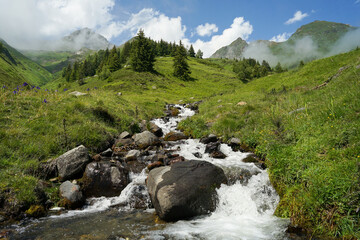 French Pyrenees landscape with stream, meadow and mountains, popular hiking destination, France