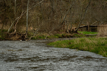The Abava River casts its bows