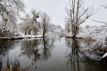 Pond in Krasnysmtawa in winter scenery,