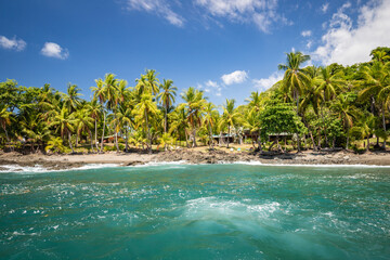 Beautiful beaches with palm trees seen from the sea, a place of dreams