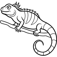 slithering iguana on a branch