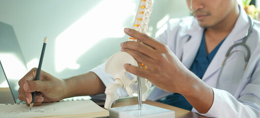 close up physical therapist hand pointing on human skeleton at low back to advise and consult to...