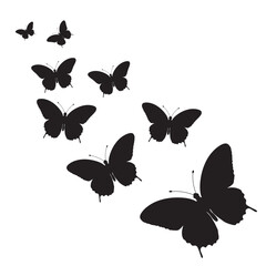 Set of butterfly silhouettes. Butterflies flying vector icon