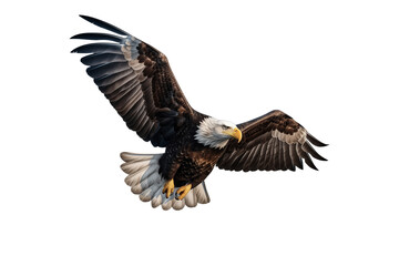 Fototapeta premium Eagle fly on transparent from die cutting, US concept, PNG