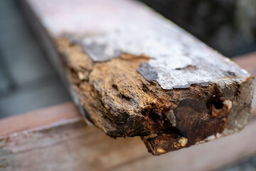 A close-up of a rotten old wooden board. Selective focus