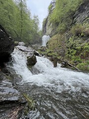 Lyazhginsky waterfall in the spring forest. Cascading waterfall drowning in greenery. Splashes of water. The water flows of the river Lyazhgi. Ingushetia, Caucasus Mountains, Russia